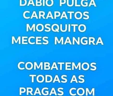 Serviços de desinfestação