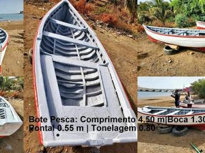 Bote Pesca com mutor