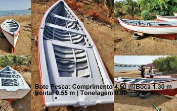 Bote Pesca com mutor
