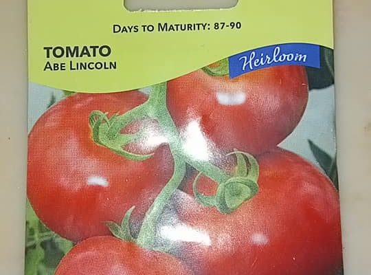 Sementes pa plantação